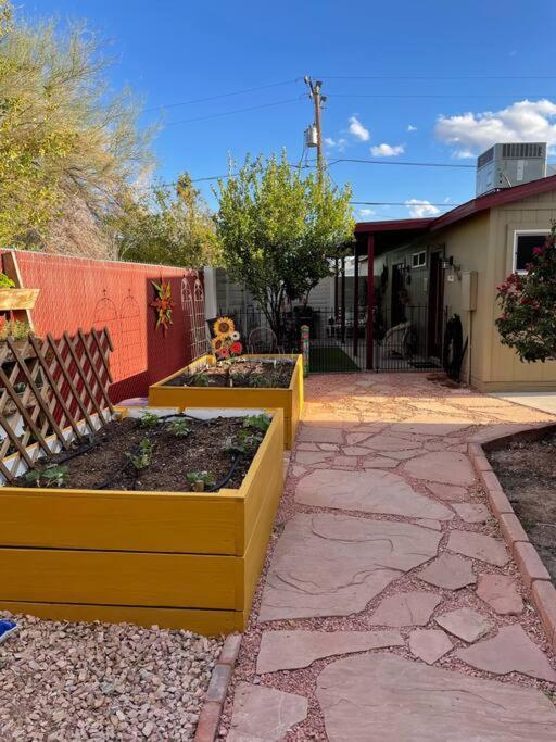 Encanto Cactus Flower Casita Phoenix Eksteriør billede